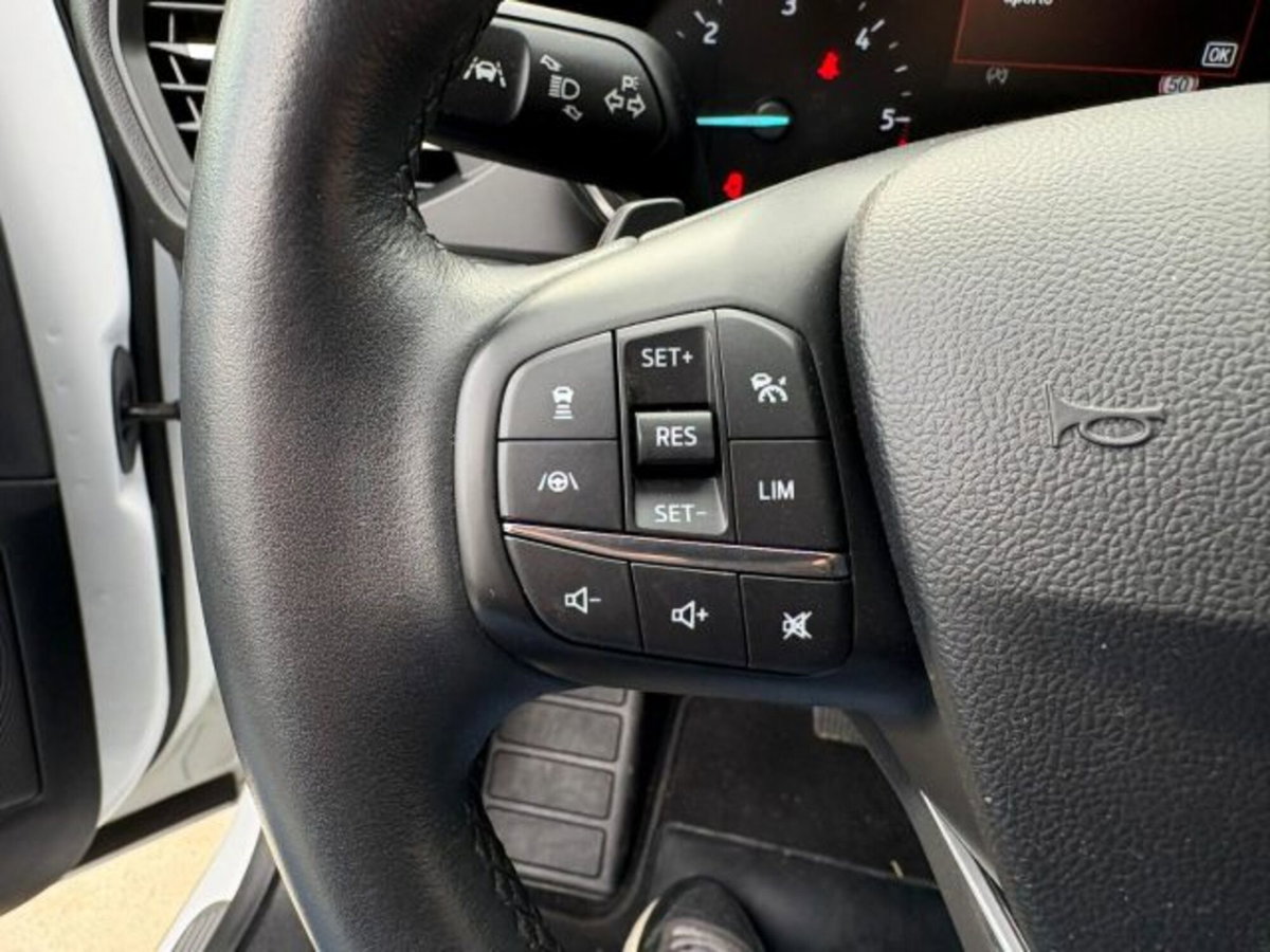 Ford Focus Station Wagon 2.0 EcoBlue 150 CV automatico SW ST-Line (12)