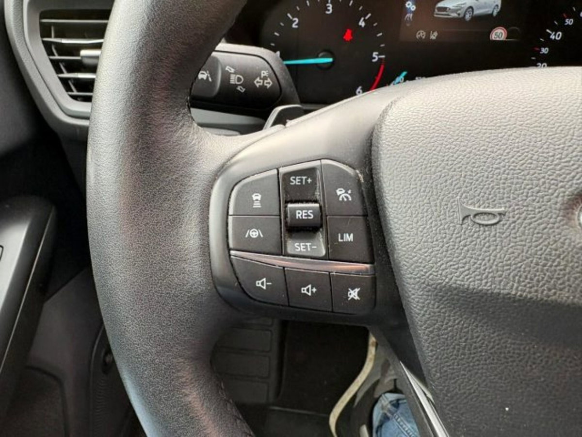 Ford Focus Station Wagon 2.0 EcoBlue 150 CV automatico SW ST-Line (14)