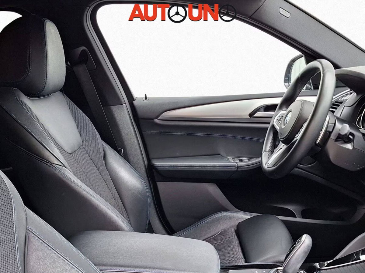 BMW X4 xDrive20i Msport (8)