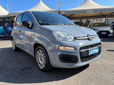 Fiat Panda Cross Cross 1.0 FireFly S&S Hybrid usata