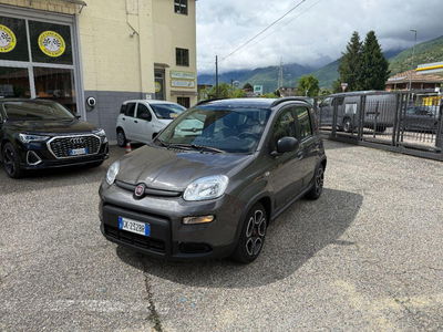 Fiat Panda 1.0 FireFly S&S Hybrid City Cross usata
