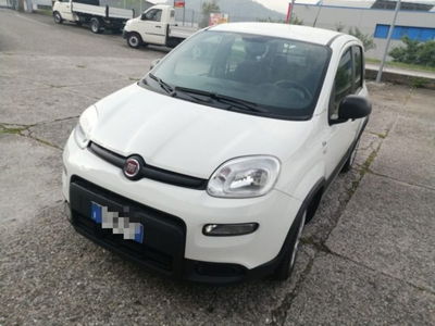 Fiat Panda van 1.0 hybrid Street 70cv 4p.ti serie 4 E6d usato