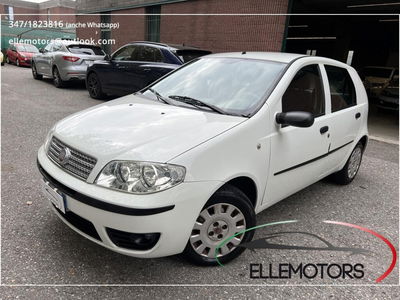 Fiat Punto Classic 1.2 5 porte Active usata