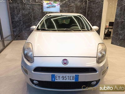 Fiat Punto 1.2 8V 5 porte Young usata