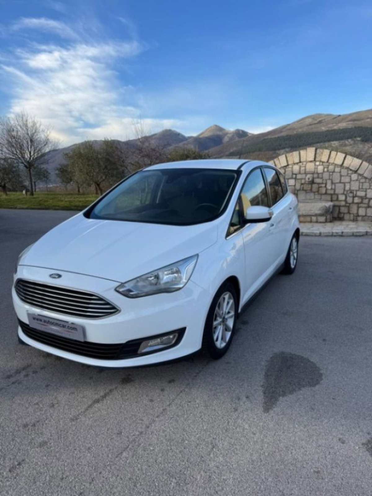 Ford C-Max 1.5 TDCi 95CV Start&Stop Titanium (15)