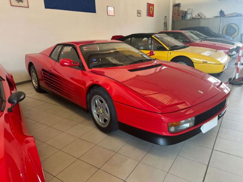 Ferrari Testarossa Testarossa cat