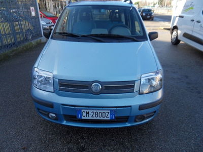 Fiat Panda 1.2 Dynamic usata
