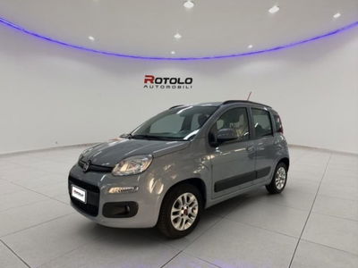 Fiat Panda 1.2 Lounge usata