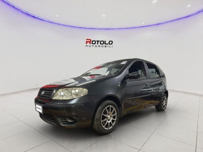 Fiat Punto 1.3 Multijet 16V 5 porte Dynamic usata