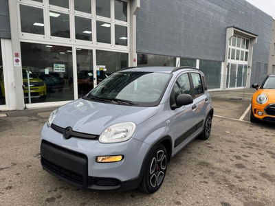 Fiat Panda 1.0 firefly hybrid s&s 70cv 5p.ti usata