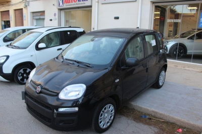 Fiat Panda 1.0 firefly hybrid s&s 70cv 5p.ti nuova