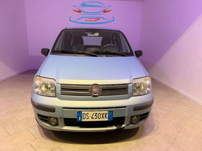 Fiat Panda 1.2 4x4 usata