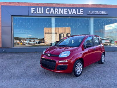 Fiat Panda 1.0 firefly hybrid Pop s&s 70cv nuova