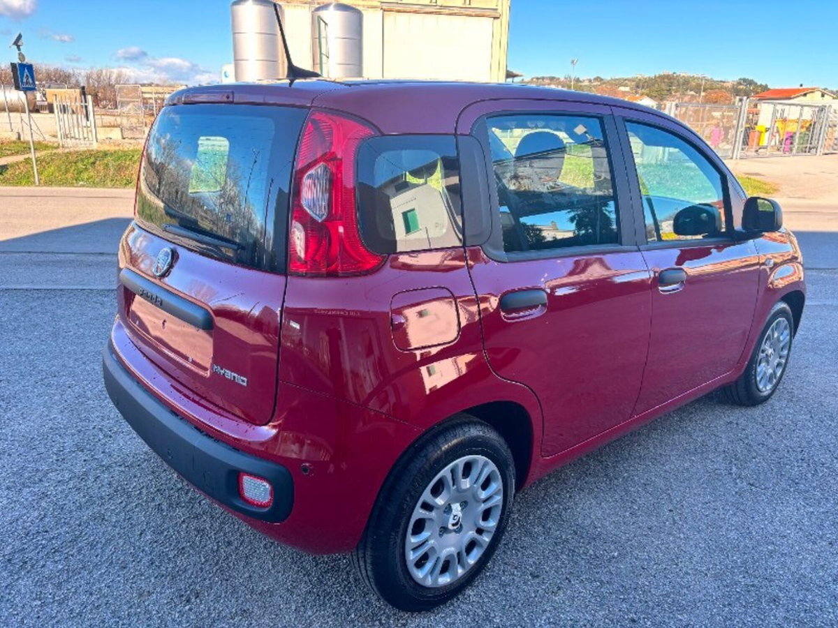 Fiat Panda 1.0 firefly hybrid Pop s&s 70cv (5)