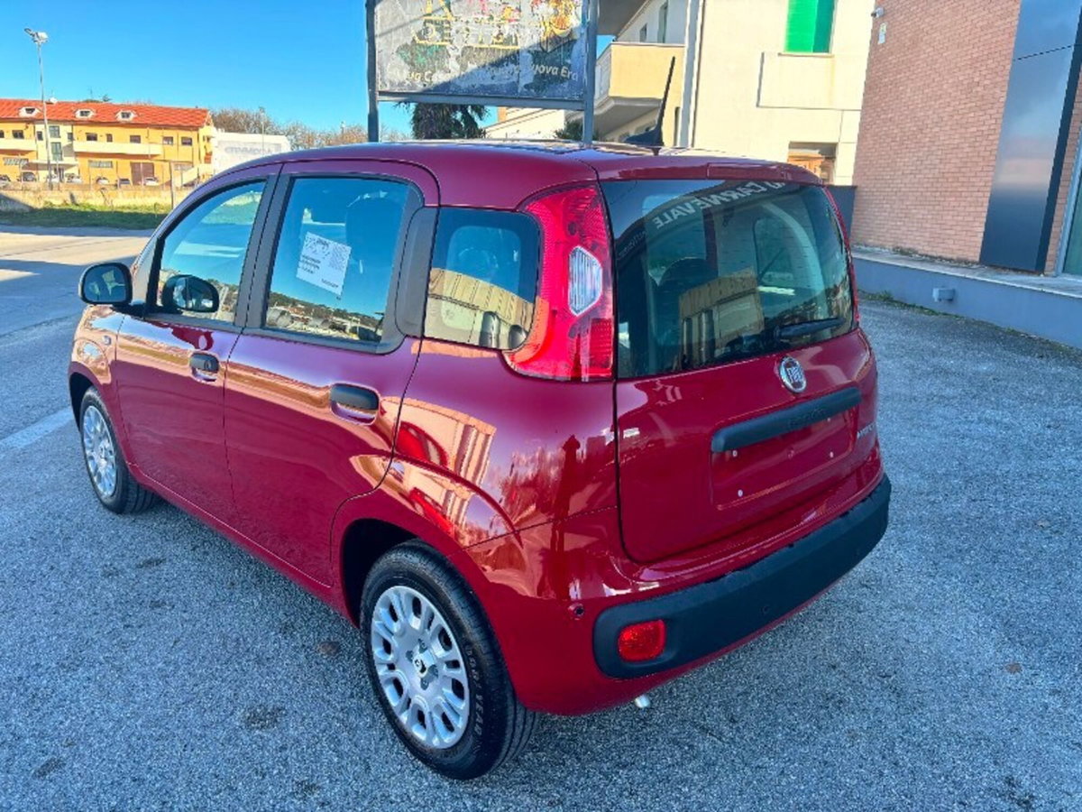 Fiat Panda 1.0 firefly hybrid Pop s&s 70cv (6)