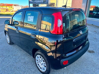 Fiat Panda 1.0 firefly hybrid Pop s&s 70cv (6)