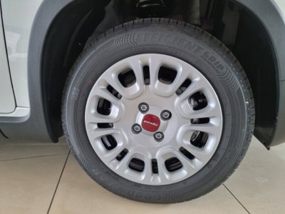 Fiat Panda 1.0 firefly hybrid Pop s&s 70cv (14)