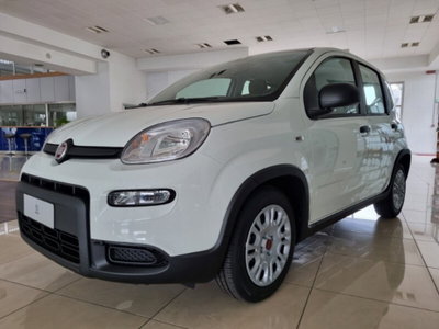Fiat Panda 1.0 firefly hybrid Pop s&s 70cv (2)