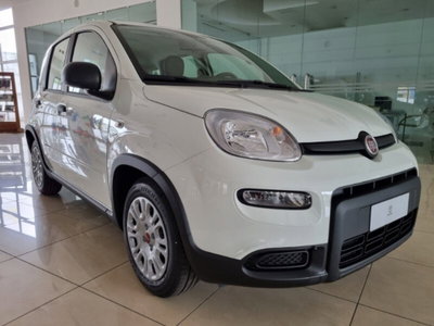 Fiat Panda 1.0 firefly hybrid Pop s&s 70cv (3)