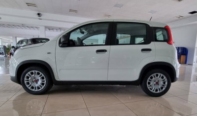 Fiat Panda 1.0 firefly hybrid Pop s&s 70cv (4)