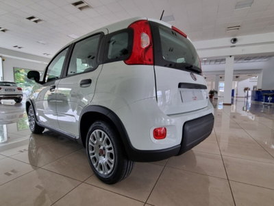 Fiat Panda 1.0 firefly hybrid Pop s&s 70cv (5)