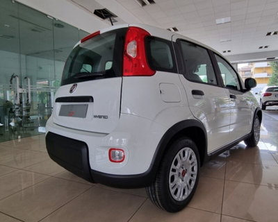 Fiat Panda 1.0 firefly hybrid Pop s&s 70cv (7)