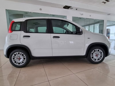Fiat Panda 1.0 firefly hybrid Pop s&s 70cv (8)
