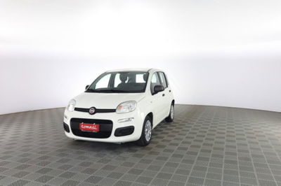 Fiat Panda 1.0 FireFly S&S Hybrid Easy usata