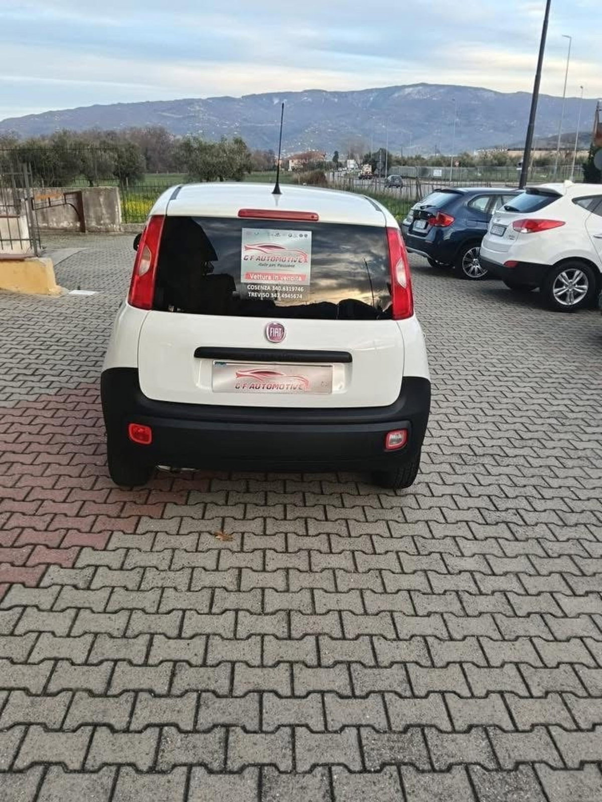 Fiat Panda 1.3 MJT 4x4 Pop Van 2 posti (2)