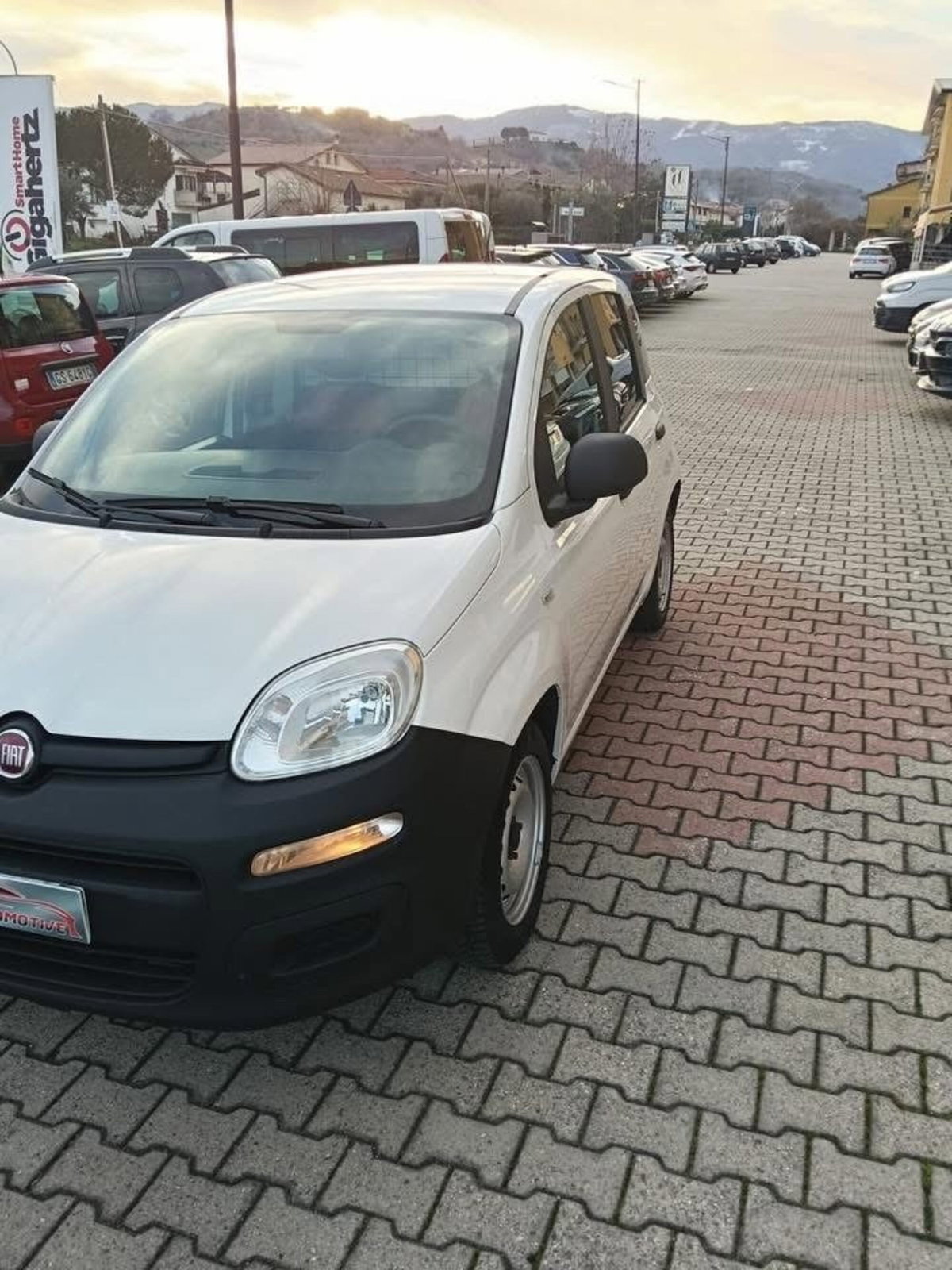 Fiat Panda 1.3 MJT 4x4 Pop Van 2 posti (7)