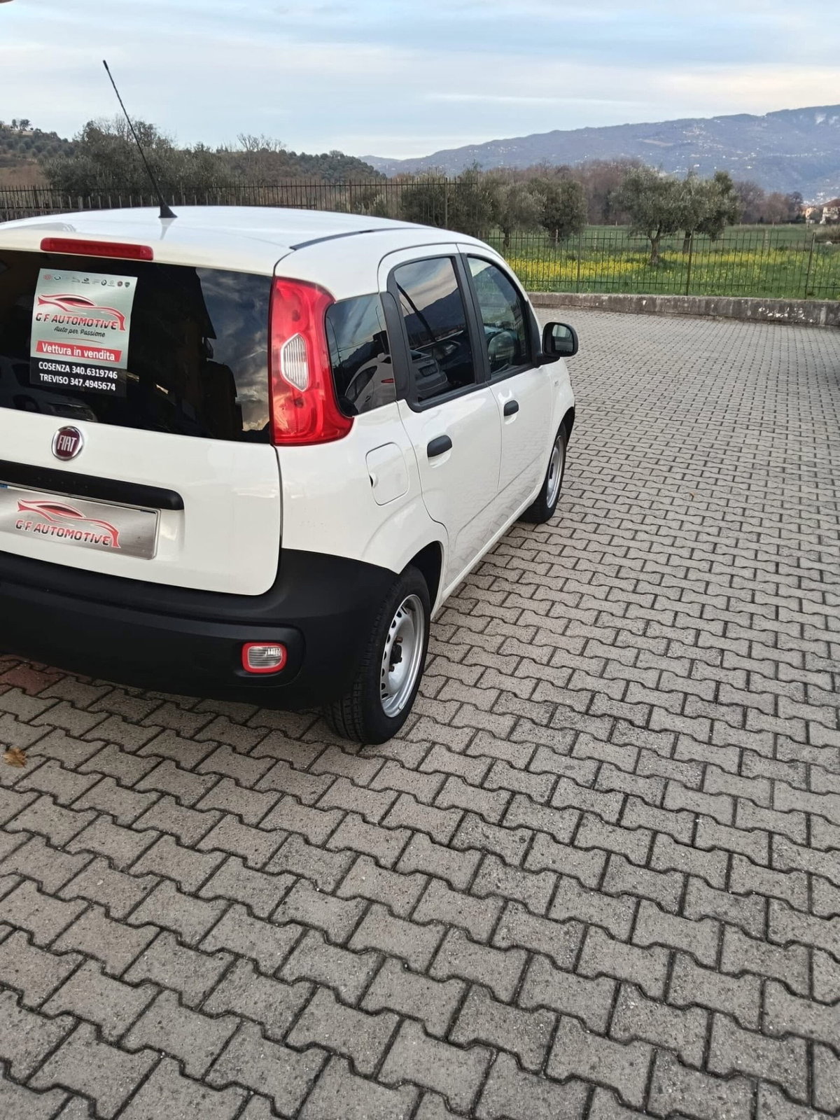 Fiat Panda 1.3 MJT 4x4 Pop Van 2 posti (8)
