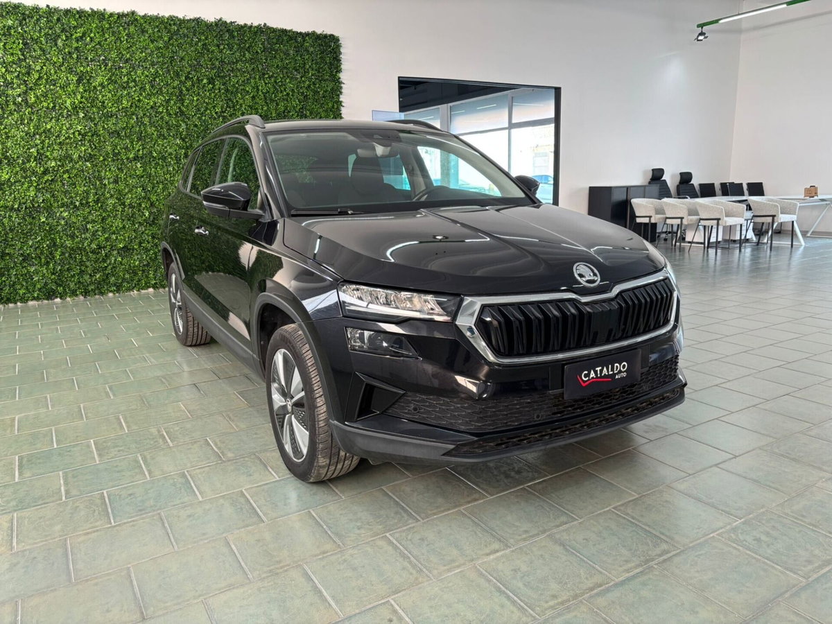 Skoda Karoq 2.0 TDI EVO SCR 115 CV DSG Style (7)