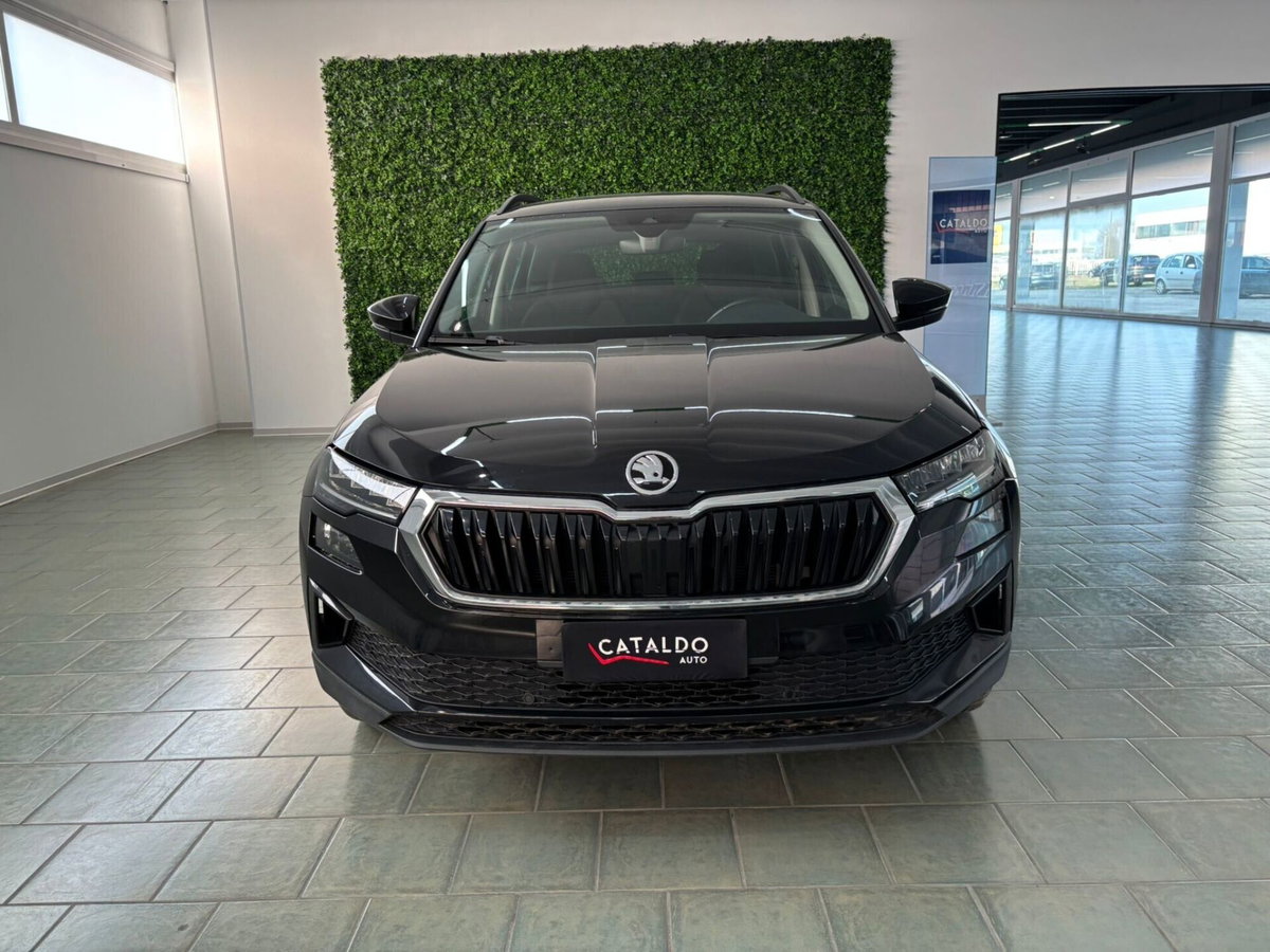 Skoda Karoq 2.0 TDI EVO SCR 115 CV DSG Style (8)