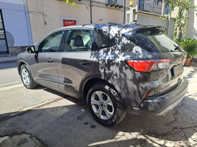 Ford Kuga 1.5 EcoBlue 120 CV 2WD Titanium (14)