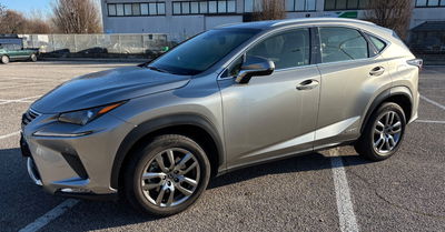 Lexus NX Hybrid 4WD Luxury usata