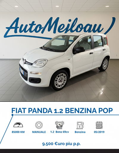 Fiat Panda 1.2 Pop usata