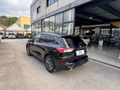 Ford Kuga 2.5 Full Hybrid 190 CV CVT AWD ST-Line X usata