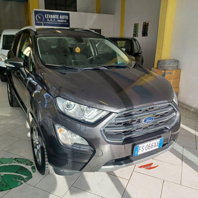 Ford EcoSport 1.0 EcoBoost 100 CV Titanium usata