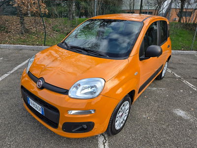 Fiat Panda 1.2 Lounge usata
