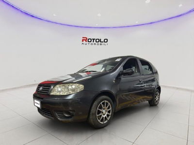 Fiat Punto 1.3 Multijet 16V 5 porte Dynamic usata