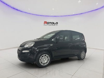 Fiat Panda 1.0 firefly hybrid s&s 70cv 5p.ti nuova