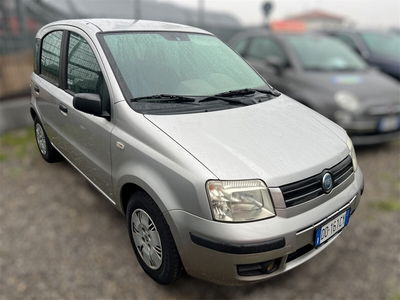 Fiat Panda 1.2 4x4 usata