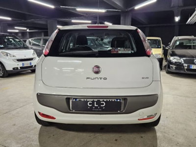 Fiat Punto Evo 1.4 5 porte Emotion GPL (5)
