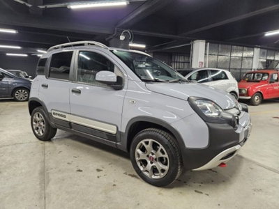 Fiat Panda Cross Cross 0.9 TwinAir Turbo S&S 4x4 (3)
