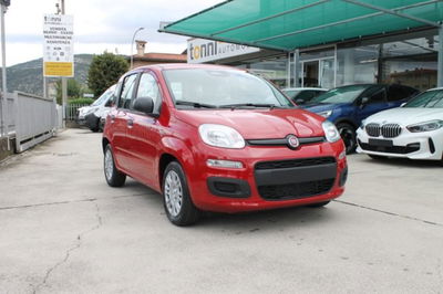 Fiat Panda 1.0 firefly hybrid s&s 70cv 5p.ti nuova