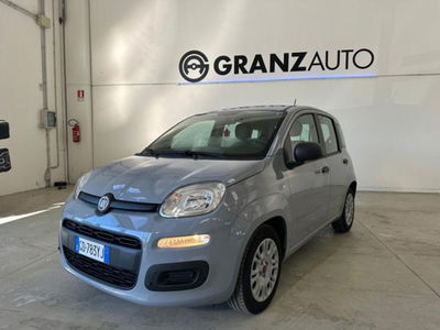 Fiat Panda 1.0 firefly hybrid s&s 70cv 5p.ti usata