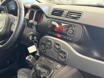Fiat Panda 1.0 firefly hybrid s&s 70cv 5p.ti (10)