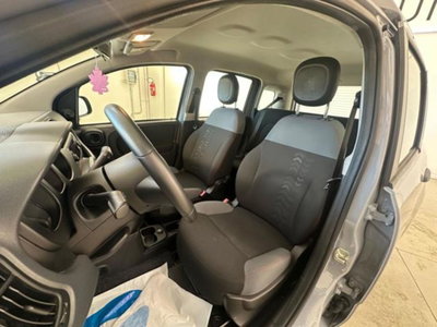 Fiat Panda 1.0 firefly hybrid s&s 70cv 5p.ti (12)