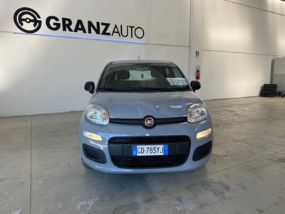Fiat Panda 1.0 firefly hybrid s&s 70cv 5p.ti (2)