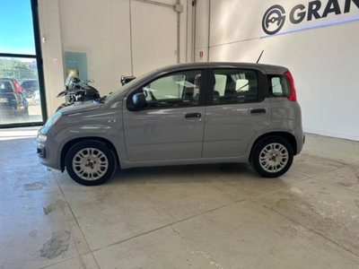 Fiat Panda 1.0 firefly hybrid s&s 70cv 5p.ti (3)